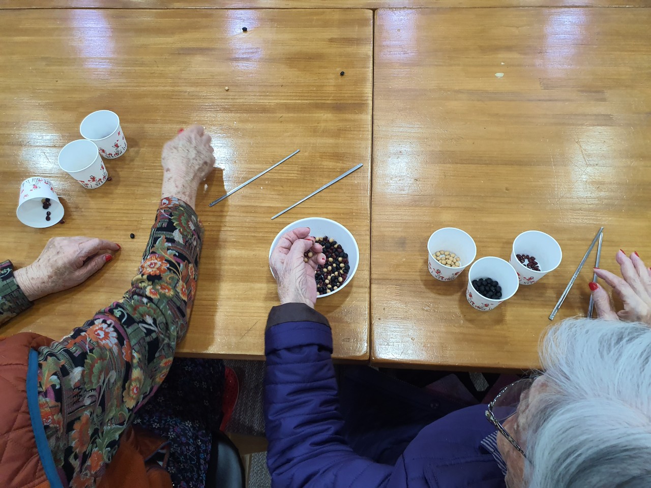 인지프로그램 - 콩고르기